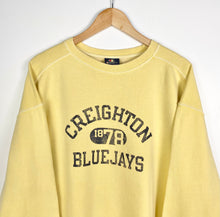 Load image into Gallery viewer, Champion Blue Jays Sweatshirt (L)