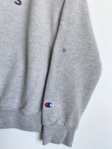 Champion princeton clearance sweatshirt